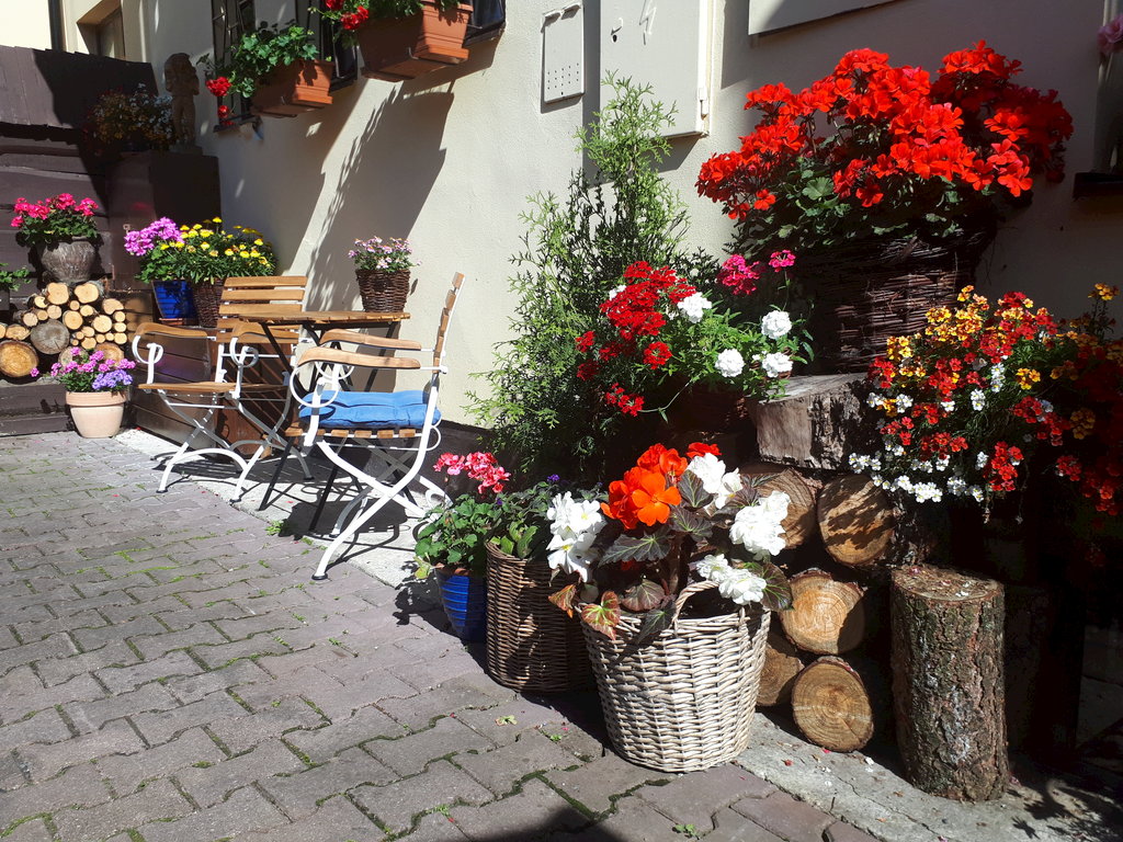 Außenbereich des Gästehauses Reitmayer, Nový Smokovec